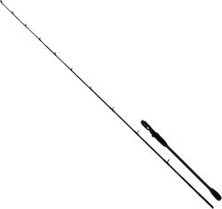 Oceanic OGK Light Jigging Angelrute für Jigging / Langsames Jigging 1.99m 160gr