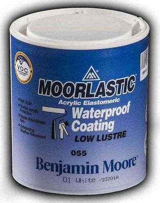 Benjamin Moore 055 Moorelastic Elastomer Acrilyc Insulating Sealing 10lt White