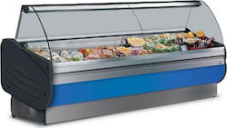 Tecnodom Βιτρίνα Κρεοπωλείου Salina 250 Υ126xΠ248xΒ90cm Tecnodom Βιτρίνα Κρεοπωλείου Salina 250 Υ126xΠ248xΒ90cm