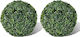 vidaXL Artificial Bush Buxus (Common box) Green 2pcs