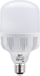 Lucas LED-Lampe 40W für Fassung E27 Kühles Weiß Lucas LED-Lampe 40W für Fassung E27 Kühles Weiß