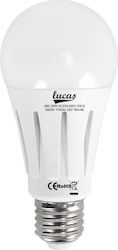 Lucas LED Lampen für Fassung E27 und Form A60 Kühles Weiß 2000lm 1Stück