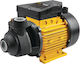 FFG VWP 1000 Electric Surface Water Pump 1hp Single-Phase