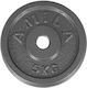 AMILA Δίσκος Μεταλλικός 1 x 5kg Φ28mm