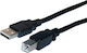 Ancus USB 2.0 Кабел USB-A мъжки - USB-B мъжки Черен 1.8м 08764