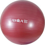 Amila 48412 Pilates Ball 55cm 0.95kg Red