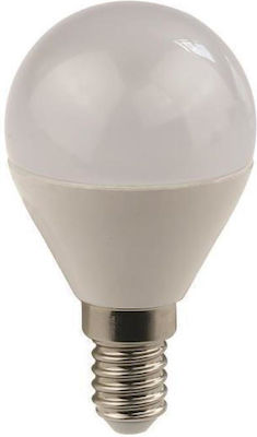 Eurolamp LED Lampen für Fassung E14 und Form G45 Kühles Weiß 400lm 3Stück