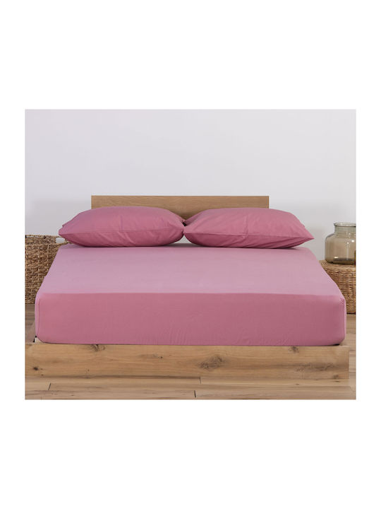 Nef-Nef Homeware Sheet Super-Double with Elasti...