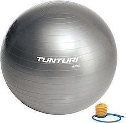 Tunturi Pilates Ball 75cm 1.215kg Silver