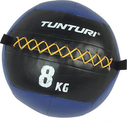 Tunturi Balls Wall 35cm , 8kg in Blue Color