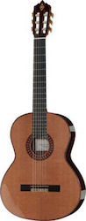 Amalio Burguet Vanessa Cedar Classical Guitar 4/4 Natural