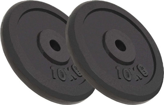 vidaXL Set of Plates Metal 2 x 10kg Φ30mm