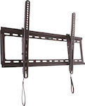 Well TLS80 75012 Wall TV Mount up to 80" and 45kg