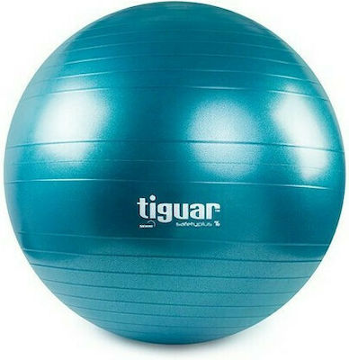 Tiguar Safety Plus SP0075M Pilates Ball 75cm Blue