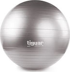 Tiguar Safety Plus Μπάλα Pilates 65cm