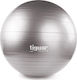 Tiguar Safety Plus Pilates Ball 65cm Gray