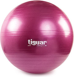 Tiguar Safety Plus Ball Pilates 65cm in Lila Farbe