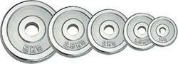 Alpine Fitness 10-416-020 Set of Plates Metal 1 x 1.25kg Φ30mm