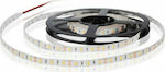 Fos me Ταινία LED Τροφοδοσίας 12V με Ψυχρό Λευκό Φως Μήκους 5m και 60 LED ανά Μέτρο Τύπου SMD2835