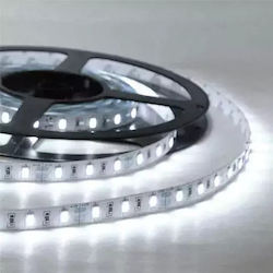 Fos me Rezistent la apă Bandă LED 12V 5m Fos me Rezistent la apă Bandă LED 12V 5m