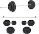 vidaXL Straight Bar Φ25mm Set with Strength Training Weight 30kg 120cm Length with Pegs