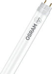 Osram LED Bulbs Fluorescent Type 120cm for Socket G13 and Shape T8 Cool White 1800lm 1pcs