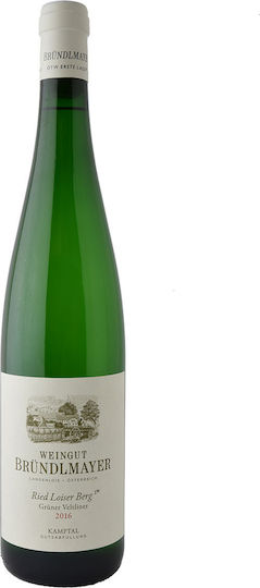 Weingut Brundlmayer Wine Loisier Berg Gruner Veltiner White Dry 750ml