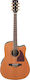 Ibanez Полуакустичен Китара AW35RECE-NT Отрязана Natural