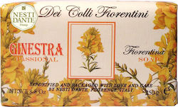 Nesti Dante Dei Colli Fiorentini 250gr