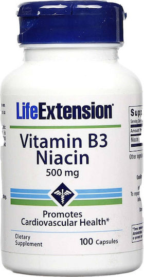 Life Extension Vitamin B3 Niacin Vitamin for Nervous System Health 500mg 100 caps
