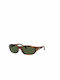 Ray Ban Daddy-O II Men's Sunglasses with Brown Tartaruga Plastic Frame and Green Lens RB2016 820/31