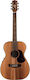 Maton Semi-Akustik Gitarre EBW808 Natürlich