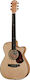 Maton Semi-Acoustic Guitar EBG808C Cutaway Natu...