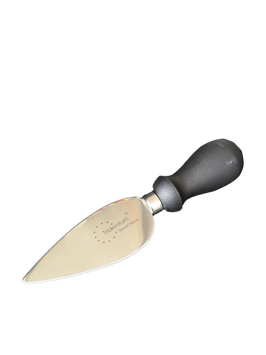 Homestyle Tridentum Knife Cheese from Stainless Steel