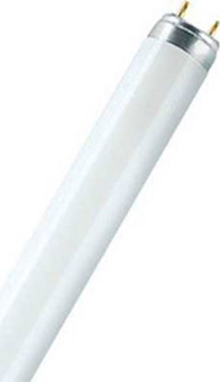 Ledvance Fluorescent Lamp with Shape T8 36W