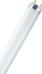 Osram Fluorescent Lamp with Shape T8 30W