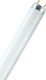 Osram Λάμπα Φθορίου για Ντουί G13 με Σχήμα T8 30W