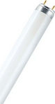 Ledvance Fluorescent Lamp for Socket G13 with Shape T8 36W