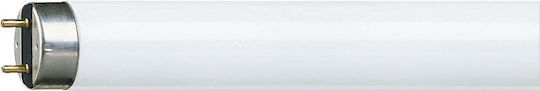 Philips Fluorescent Lamp with Shape T8 30W