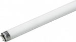 Diolamp Fluorescent Lamp with Shape T8 58W