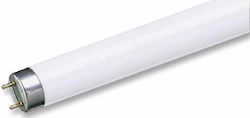 Geyer Fluorescent Lamp for Socket G13 with Shape T8 36W