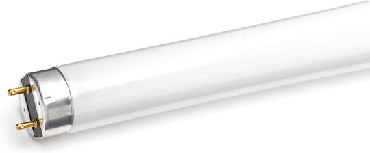 Aca Лампа Луминесцентна за Цокъл G13 с Форма T8 18W