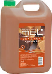 Imel Caramel Imel Caramel