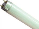 Fluorescent Lamp with Shape T8 36W