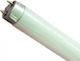 Fluorescent Lamps for Socket G13 with Shape T8 36W 25pcs