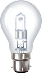 Aca Халогенна Лампа за Цокъл B22 с Мощност 28W 230V