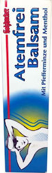HealthTrade Holzhacker Balsam 75ml HealthTrade Holzhacker Balsam 75ml