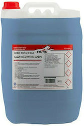 Feral Καθαριστικό Αντιπαγωτικο Παρμπρίζ Antifreeze Liquid Car Windows 20lt 18647