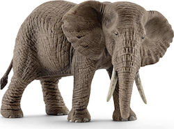 Schleich-S Παιχνίδι Μινιατούρα Wild Life African Elephant Female για 3+ Ετών