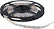 Elmark LED Strip 12V Cold White Light 5m Type SMD5050